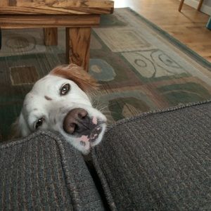 Meet your Posher, Stacy